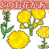 【記憶力向上】どの絵があった？