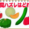 【仲間外れ探し】1つだけ他と違うジャンルのものを探してください。