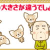 【どの大きさが違う？】大きさが違うものが1つあります。どれでしょう？