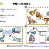 仲間ハズレ探し2｜知の種の無料プリント