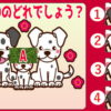 【記憶問題】絵を覚えて後で後で問題に答えてください