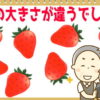 【大きさ違い】大きさが違うのはどれ？