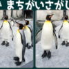 【間違い探し】左右の写真で間違いを3か所探す脳トレ問題