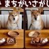 【間違い探し】写真の中に異なる部分が3か所あるので探す問題