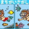 【間違い探し】脳の老化を防止する楽しい脳トレ問題