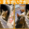 【間違い探し】脳を鍛える大人気の脳トレ問題！