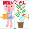 【間違い探し】3か所の異なるところを探す楽しい脳トレ