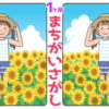 【間違い探し】1か所の間違いを探す問題が15問！