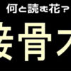 【難読漢字】花の名前を答えましょう！