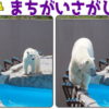 【間違い探し】2枚の写真から異なるところを3か所探す問題