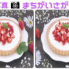 【間違い探し】写真の中にある違うところを探す脳トレ
