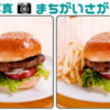 【写真間違い探し】難易度高めの認知症予防動画