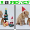 【写真間違い探し】全5問！認知症予防に最適な楽しめる脳トレ