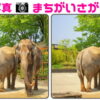 【写真間違い探し】高齢者に最適な認知症予防問題