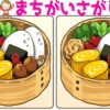 【間違い探し】徐々にレベルアップするイラスト問題