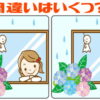 【間違い探し】違う箇所はいくつ？