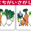 【間違い探し】集中力を鍛えて脳の老化予防に最適な脳トレ