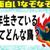 【なぞなぞ】楽しめる高齢者向けクイズ！
