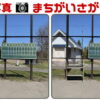 【写真間違い探し】認知症予防に最適な写真で脳トレ