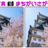 【写真間違い探し】認知症予防に最適な面白いクイズ