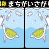 【対称間違い探し】上級者向け！空間認識能力を鍛える認知症予防脳トレ