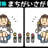 【対称間違い探し】難易度が高い3か所間違い探し