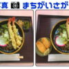 【写真間違い探し】やや難しい3カ所の違いを見抜く脳トレ！