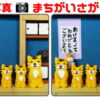 【写真間違い探し】左右の画像で3か所の間違いを探す脳トレ