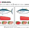 間違い探し690｜知の種の無料プリント
